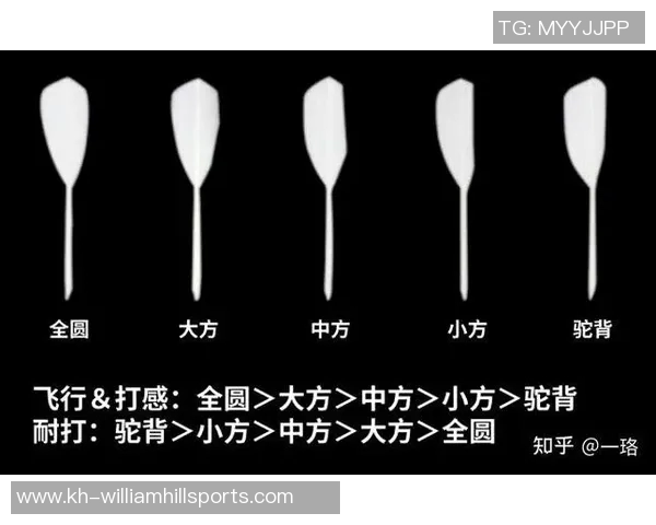 羽毛球新手必看入门攻略全面提升实力的实用指南